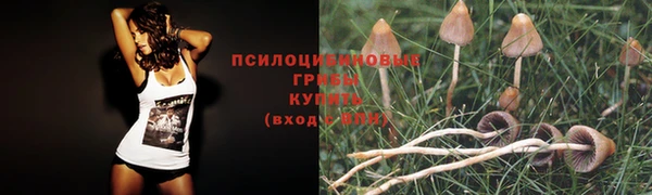 герыч Абинск