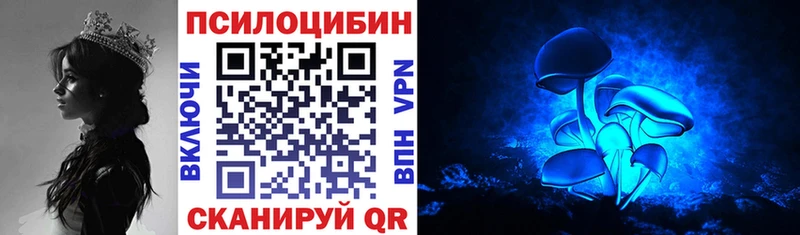 где найти   Бокситогорск  Псилоцибиновые грибы Psilocybine cubensis 